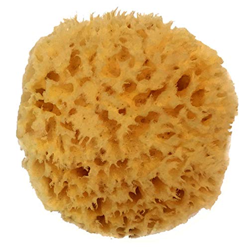 spa destinations Natural Sea Wool Sponge 4-5"" By Spa Destinations  Amazing Natural Renewable Resource Creating The In Perfect Bath And Shower Experience - Image 1